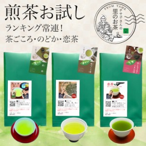 新茶 2024 八女茶 お茶 お試し 送料無料 500円 3種類の八女茶 1商品6g入り 一煎パックで飲み比べに便利 メール便 茶ごころ のどか 恋茶緑