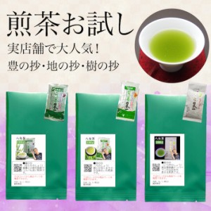 新茶 八女茶 お茶 お試し 送料無料 500円 3種類の八女茶 1商品6g入り 一煎パックで飲み比べに便利 メール便 豊の抄 地の抄 樹の抄 緑茶 