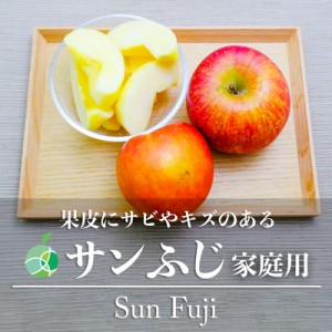 サビ・キズあり　サンふじ　りんご　家庭用　約10kg　20-36玉　長野県産　フルーツ　自家用　林檎　調理　加工　製菓　ジャム　アップル