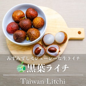 【予約受付中・6月下旬発送予定】黒葉ライチ　生ライチ　約2kg　台湾南投産　輸入フルーツ　高級　ギフト　贈り物　プレゼント　誕生日