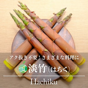 淡竹　たけのこ　約2kg　天然物　長野県産　山菜　はちく　ハチク　タケノコ　筍　土佐煮　たけのこご飯