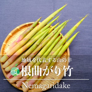 根曲がり竹　たけのこ　山菜　天然物　約1kg　長野県産　姫竹　細竹　月山竹　筍　ギフト　贈り物　プレゼント　お礼　お供え