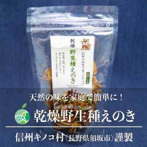 乾燥野生種えのき　3袋セット　内容量1袋15g　長野県須坂市産　信州キノコ村　茸　だし　乾物　贈り物　母の日