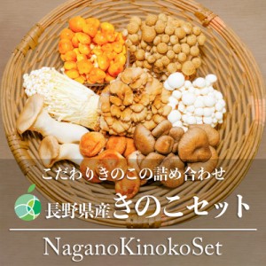 長野県産きのこセット　8種類　シイタケ ヒラタケ マイタケ ブナシメジ ブナピー エリンギ エノキ ナメコ　各1パック（8パック）約1kg