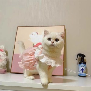 送料無料 犬服 猫服 ドッグウェア 韓国ペット服 犬用ドレス ペットグッズ 洋服 ペット用品 散歩 お出かけ 春秋着 可愛い 犬の服 春 夏 秋