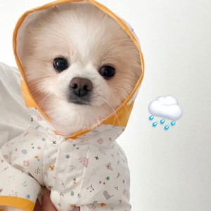 犬用レインコート 雨カッパ 防水 雨具 小型犬 犬服 ドッグウェア 韓国ペット服 ペットグッズ ペット用品 散歩 お出かけ 可愛い 犬の服 春