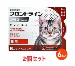 【当日出荷】【２個セット】【フロントラインプラス キャット ６本入×２個】(フロントライン プラス 猫用)【動物用医薬品】 [ノミ駆除・