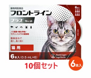 【当日出荷】【１０個セット】【フロントラインプラス キャット ６本入×１０個】(フロントライン プラス 猫用)【動物用医薬品】 [ノミ駆