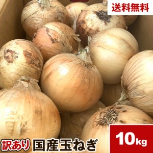 訳あり 愛知県産 たまねぎ 10kg 玉ねぎ タマネギ 送料無料