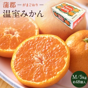 6月中旬頃より【愛知県産】 蒲郡温室みかん M 5kg 約48個入 送料無料 みかん 蒲郡 温室 絹肌みかん 宮川早生 化粧箱入り