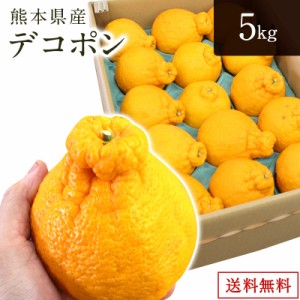 【熊本県産】デコポン 5kg（大玉12玉から18玉）送料無料 みかん フルーツ 柑橘 当社専用箱で出荷