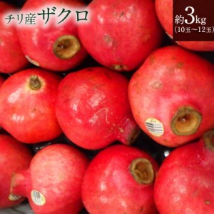 送料無料【チリ産】ザクロ 3kg以上 10〜12個 赤い宝石 送料無料 pomegranate 柘榴 石榴 若榴 ざくろ 甘い 果物 フルーツ エアー便　航空