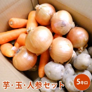 芋・玉・人参セット　5キロ 馬鈴薯 玉葱 人参 送料無料 野菜 じゃがいも にんじん たまねぎ セット 男爵  煮物 カレー 野菜セット 野菜ジ