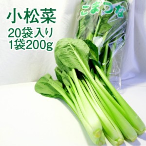 【静岡県産】 小松菜 200g 20入り 約4kg こまつな こまつ菜 サラダ 送料無料 komatsuna 野菜 おひたし