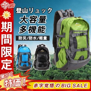 登山リュック リュック パック ザック キャンプ バックパック 大容量 旅行 アウトドア 男女兼用 防災 遠足 軽量 ハイキング 