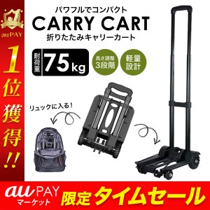 キャリーカート 折りたたみ タイヤ大きい 軽量 4輪 ハンドキャリー 階段 キャンプ アウトドア 釣り 軽い 耐荷重75kg 砂浜 カート