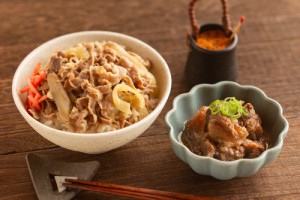 お取り寄せグルメ 送料無料 日本料理 寺田 国産牛すじ煮込みと牛丼の素 ギフト 送料無 お返し 内祝い