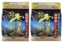 お取り寄せグルメ 送料無料 新潟 雪蔵仕込氷温熟成 魚沼産こしひかり ギフト 送料無 お返し 内祝い