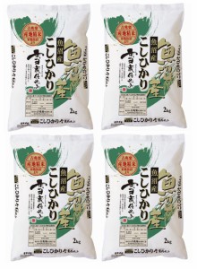 お取り寄せグルメ 送料無料 新潟 雪蔵仕込 魚沼コシヒカリ ギフト 送料無 お返し 内祝い