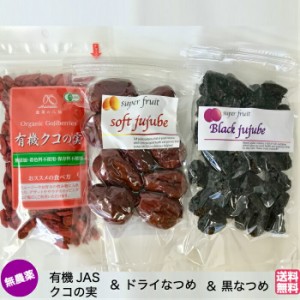 ＜送料無料＞【有機JAS】クコの実 ORGANIC GOJIBERRY 85ｇ + 無農薬 極上ドライなつめSOFT JUJUBE 120g （農薬・化学肥料不使用・無添加