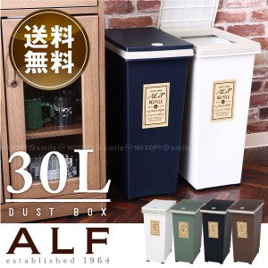 ゴミ箱 ふた付き / プッシュ式ダストボックス アルフ 30L【送料無料】[FB]