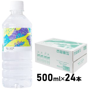 [シリカ＆アルカリイオン] キミノミカタ 500ml×24本 ケイ素 バナジウム 天然の弱アルカリ性（pH8.6）超軟水
