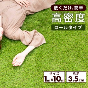 人工芝 ロール 1×10m 送料無料 芝生マット 人工芝生 芝生 ロールタイプ 固定ピン 庭 テラス ベランダ 庭 ガーデニング DIY 屋上緑化 水