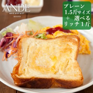 ANDE デニッシュ食パン プレーン1.5斤サイズとリッチな1斤サイズ3種から選べるお試し2本セット 京都デニッシュパン専門店アンデ