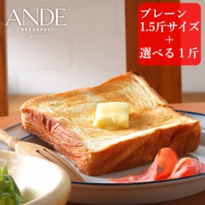 ANDE デニッシュ食パン プレーン1.5斤サイズと1斤サイズ6種から選べるお試し2本セット 京都デニッシュパン専門店アンデ