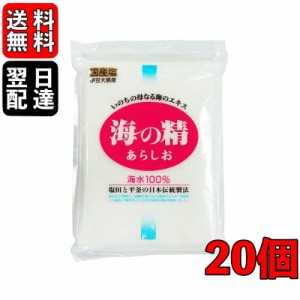 海の精 あらしお 赤ラベル 伝統海塩 500g 20袋 お塩 塩 天日塩 平釜 伊豆大島産海水100%  ミネラル 天日 天然塩 送料無料 漬物 梅干し 塩