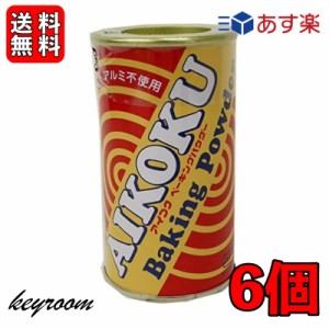 アイコク ベーキングパウダー 100g 6個 AIKOKU 愛国 ベーキングパウダー アルミフリー 膨脹剤 無添加 お菓子作り お菓子材料 パン作り パ