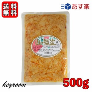 丸松物産 山の酒盗 500g 穂先メンマ たけのこ ラーメン おつまみ めんま しなちく 業務用 メンマ 惣菜 たけのこ ラーメン おつまみ 穂先 