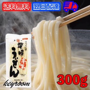 石丸製麺 うどん りつりん印 讃岐半生うどん 300g (3人前) 1袋 讃岐 半生うどん 半生 食品 麺類 うどん 讃岐うどん さぬきうどん ぶっか