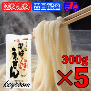 石丸製麺 うどん りつりん印 讃岐半生うどん 300g (3人前) 5袋 讃岐 半生うどん 半生 食品 麺類 うどん 讃岐うどん さぬきうどん ぶっか