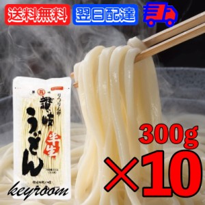 【新商品特価】石丸製麺 うどん りつりん印 讃岐半生うどん 300g (3人前) 10袋 讃岐 半生うどん 半生 食品 麺類 うどん 讃岐うどん さぬ