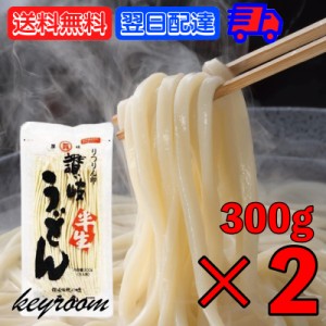 石丸製麺 うどん りつりん印 讃岐半生うどん 300g (3人前) 2袋 讃岐 半生うどん 半生 食品 麺類 うどん 讃岐うどん さぬきうどん ぶっか