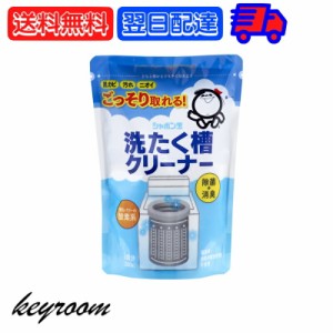 シャボン玉 洗たく槽クリーナー 500g  洗濯機用洗剤 洗濯槽 洗濯機 洗浄 洗剤 しゃぼん玉 せんたくき 洗濯 せんたく