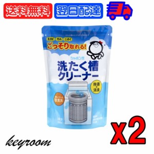 シャボン玉 洗たく槽クリーナー 500g  2個 洗濯機用洗剤 洗濯槽 洗濯機 洗浄 洗剤 しゃぼん玉 せんたくき 洗濯 せんたく