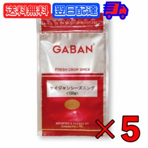 GABAN ギャバン スパイス ケイジャンシーズニング 100g 5個 ミックススパイス ハウス食品 香辛料 パウダー 業務用 大容量  ハーブ ケイジ