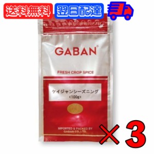 GABAN ギャバン スパイス ケイジャンシーズニング 100g 3個 ミックススパイス ハウス食品 香辛料 パウダー 業務用 大容量  ハーブ ケイジ