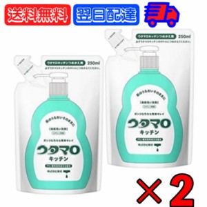 ウタマロ キッチン 詰替 250ml ×2 東邦 キッチン用 洗剤 クリーナー ガンコな油汚れ ガンコ 手肌 油汚れ やさしい さわやかなグリーンハ