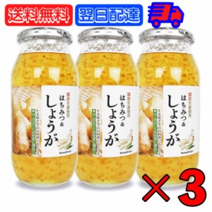 はちみつ＆しょうが 810g 3個 純粋ハチミツ 加藤美蜂園 はちみつ ハチミツ 純粋はちみつ 蜂蜜 国産生姜 生姜 しょうが ジンジャー 希釈用