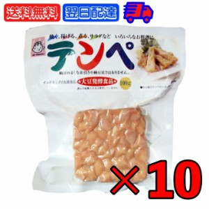 ヤマク テンペ 100g 10個 ヤマク食品 スパウトパック スパウト パック 個包装 小分け 大豆 大豆ミート エスニック 発酵食品 テンペ菌 ヴ