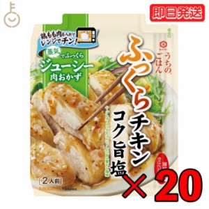 キッコーマン うちのごはん コク旨塩ふっくらチキン 62g 20個 kikkoman うちのご飯 おそうざいの素 惣菜 一品 料理の素 おかずの素 レン