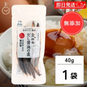 だしが良く出る宗田節 だし醤油の素 40g 宗田節  詰め替え用 詰め替え つめかえ だしが良く出る だし だし醤油 出汁醤油 醤油 しょうゆ 