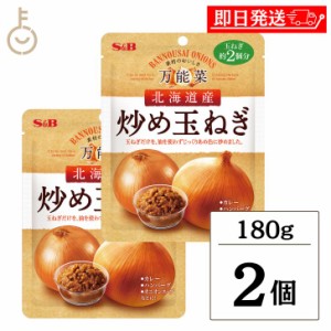 S&B エスビー食品 カレープラス 北海道産炒め玉ねぎ 180g ×2 炒め玉ねぎ 炒め 玉ねぎ たまねぎ タマネギ オニオン onion カレー レトル