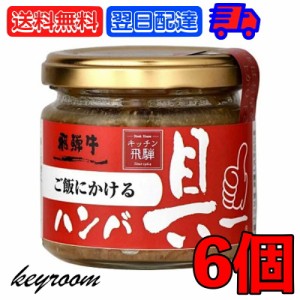 飛騨ハム ご飯にかける飛騨牛ハンバ具ー 120g 6個 ハンバーグ 飛騨高山 飛騨 惣菜 おにぎりの具 うどん ごはんのお供 ハンバーグ 飛騨牛 