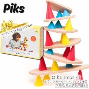 ピクス スモールキット ２４ピース Piks Small kit 24 pc.対象年齢 3歳〜12歳   積み木 おもちゃ  知育玩具 正規輸入品 日本語説明書付