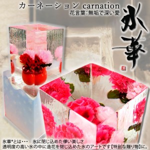 氷華 / 氷中花 「カーネーション」氷に閉じ込めた儚い美しさ。透明度の高い氷に美しい造花を閉じ込めた氷のアート。唯一無二の時間を創り