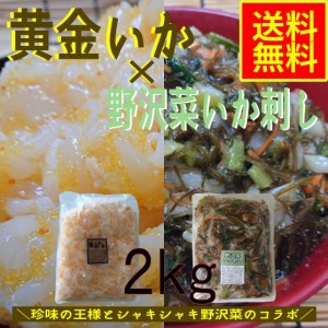 黄金いか×野沢菜いか刺し　２ｋｇセット 業務用（冷凍）グルメ　シーフード　グルメ　黄金　おうごん　数の子　野沢菜　イカ　イカ惣菜